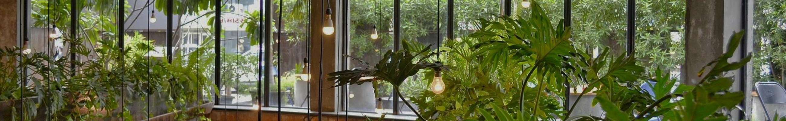 Pexels Thefacesiseek Saptarshi 9744000